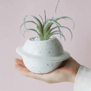 Planet Ceramic Plant Pot